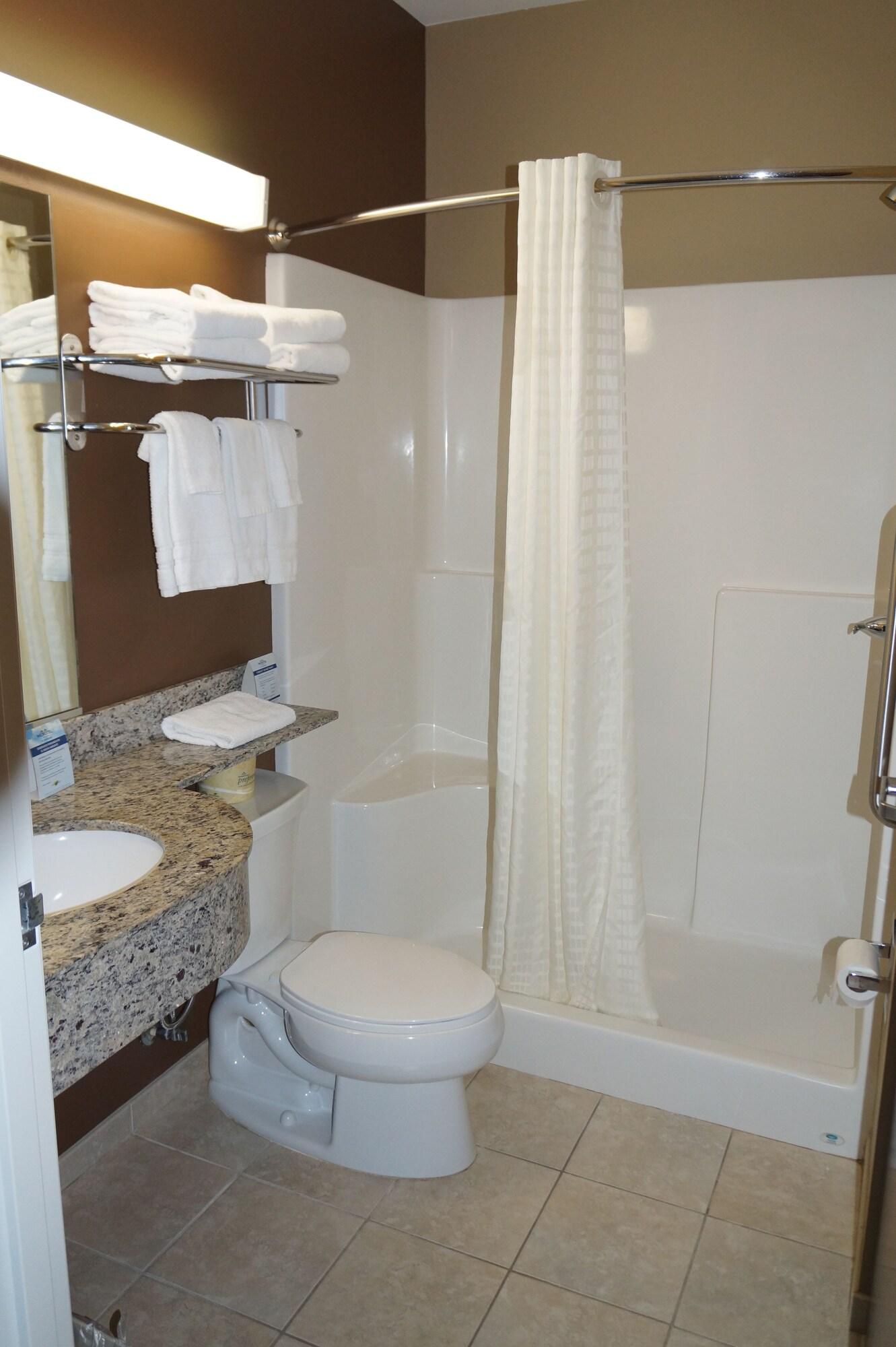 Microtel & By Wyndham Hotel 2*